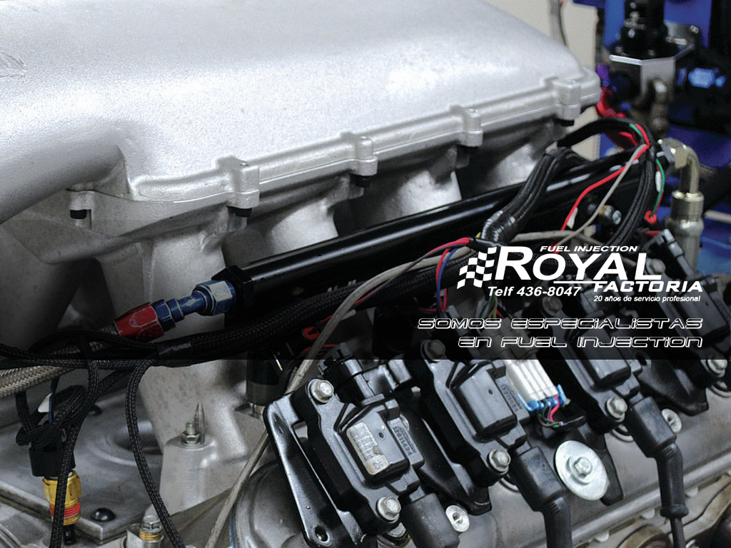 Somos especialistas en Fuel Injection